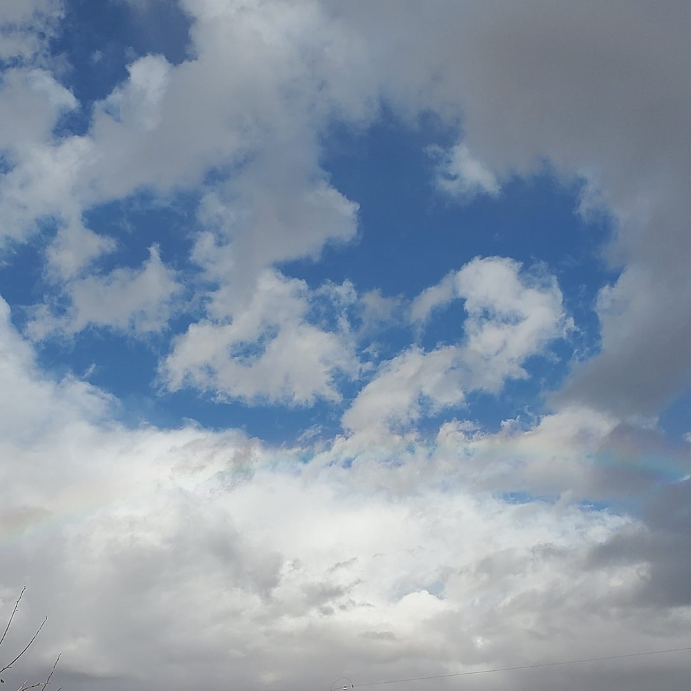 Meet your Posher, Dylan